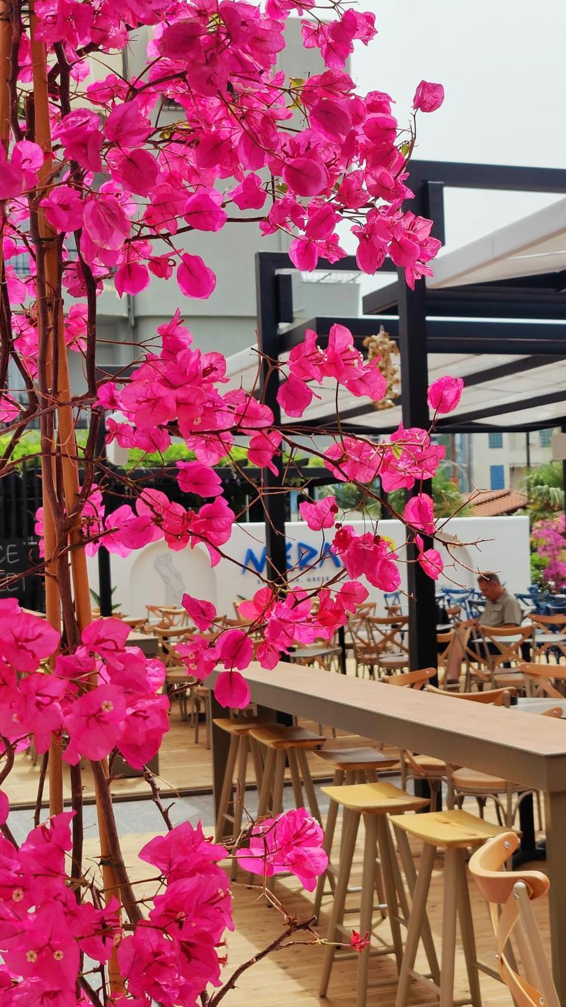 Hotel Margarit Boutique